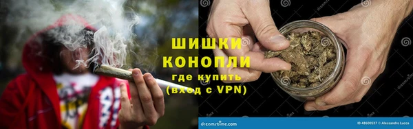 стаф Богородск