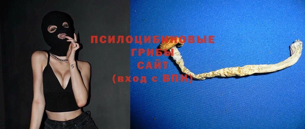стаф Богородск