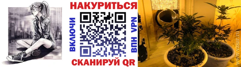 Бошки марихуана Ganja  OMG ссылки  Первомайск 